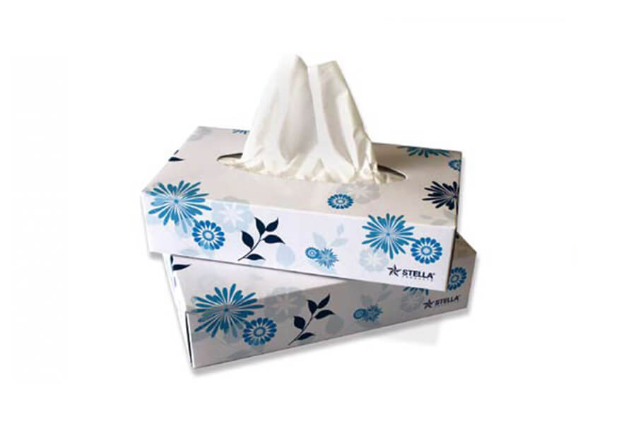 Kosmetiktücher 2-lagig 100er Box